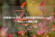 印度版PUBG手游，从封禁到重生的Battlegrounds Mobile India崛起之路