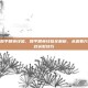 怎样看和平精英经验，和平精英经验全解析，从查看方法到高效获取技巧