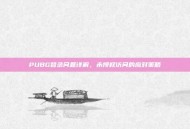 PUBG登录问题详解，未授权访问的应对策略