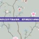神武化生孩子加点指南，提升角色实力的秘诀