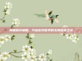 神曲跑环辅助，开启游戏世界的无限探索之旅