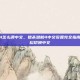 猎杀潜航4怎么调中文，猎杀潜航4中文设置完全指南，三步轻松切换中文