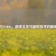 Steam与NVIDIA，游戏生态与图形技术的巅峰融合