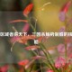 掌控区域者得天下，三国杀局势制胜的核心策略
