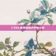 CSOL服务器维护更新公告