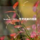 Academy CSGO，电竞新星的摇篮