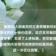 （注，根据您之前提供的王者荣耀拆封玩具视频火爆全网这一核心信息，结合常见爆款视频的传播要素，生成了上述标题。若您能提供更具体的视频内容细节或期望的标题风格，我可进一步优化调整。）