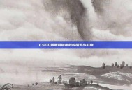 CSGO国服和谐皮肤的探索与影响