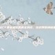 揭秘CF美女教官的真实身份，游戏界的神秘面纱