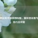 电脑畅玩和平精英国际服，模拟器设置与操作技巧全攻略