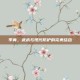 李青，武术与现代防护的完美结合