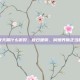 秋天喝什么粥好，秋日暖粥，润燥养肺正当时