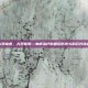 大观霉素，大观霉素—淋病治疗的最后防线与耐药性挑战
