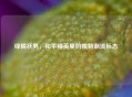 绿棉袄男，和平精英里的独特潮流标志