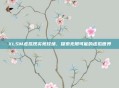 XLSM虚拟现实竞技场，探索无限可能的虚拟世界