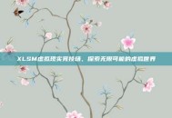 XLSM虚拟现实竞技场，探索无限可能的虚拟世界