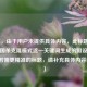 （注，由于用户未提供具体内容，此标题是基于三国杀克隆模式这一关键词生成的假设性标题。若需更精准的标题，请补充具体内容细节。）
