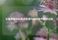 王者荣耀战队高效管理与团队协作制胜法则