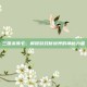 三国杀佛卡，解锁游戏新境界的神秘力量