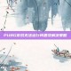 PUBG游戏无法运行问题及解决策略