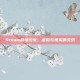 Steam战场少女，虚拟与现实的交织