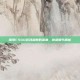 探索CSGO游戏参数的深度，底部细节解析
