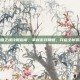 光明之魂攻略指南，掌握游戏精髓，开启全新冒险