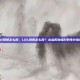 lol投降怎么投，LOL投降怎么投？从点否到点烂的生存指南