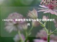 CSGO47739，揭秘电竞传奇与玩家文化的神秘代码