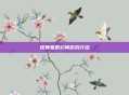 炫舞星辰幻翼游戏介绍