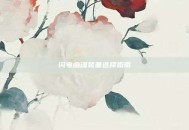 闪电幽魂装备选择指南
