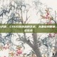 csgo发消息，CSGO发消息的艺术，从基础到精通，沟通决定胜负