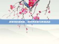 波波沙价格揭秘,探索其价值与市场动态