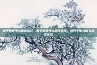 和平精英海岛画质选择，和平精英海岛画质选择，如何平衡性能与视觉体验