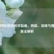 Steam国区游戏购买指南，风险、流程与替代方案全解析