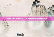 揭秘PUBG游戏高手，鱼人直播的隐藏技巧与秘密