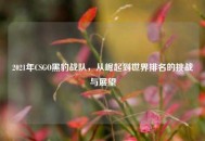 2021年CSGO黑豹战队，从崛起到世界排名的挑战与展望