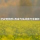 逆战宠物秒G养成与实战技巧全解析