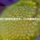 深渊巨口极致伤害艺术，LOL大嘴输出全解析
