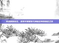 奇迹暖暖宫廷，探索华丽服饰与神秘故事的融合之旅