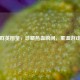 逆战群英图鉴，珍藏热血瞬间，重温游戏荣光