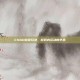 CSGO鼓掌玩法，游戏内互动的艺术