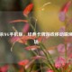 三国杀WG手机版，经典卡牌游戏移动端焕新登场