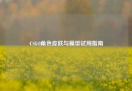 CSGO角色皮肤与模型试用指南