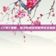 CF防T策略，保卫你的游戏世界安全指南