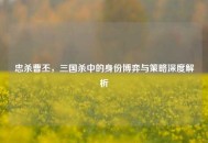 忠杀曹丕，三国杀中的身份博弈与策略深度解析