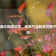 逆战最佳画面设置，画质与流畅度完美平衡指南