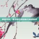 帝苑平台，数字时代的创新与机遇探索