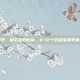 宝宝喂养，新手爸妈必读，0-12个月宝宝喂养黄金法则