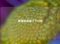 爸爸给你留了个CF号